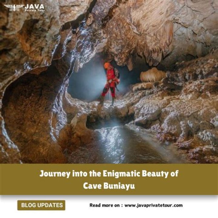 A Journey Into Nature's Enigmatic Beauty