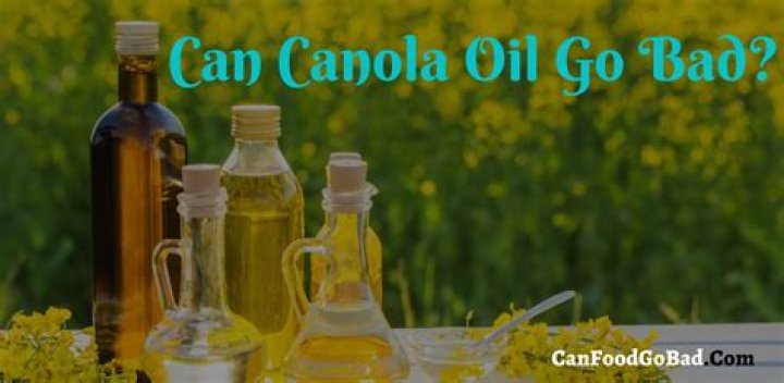Exploring The Concerns Surrounding Canola Oil