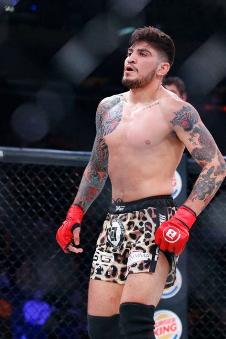 Fighting Style, Accomplishments, And Controversies