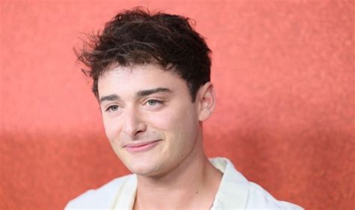 Noah Schnapp's Death Hoax Debunked