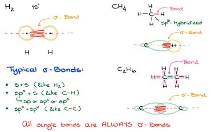 Uncovering The Bonds And Influences Behind The Star