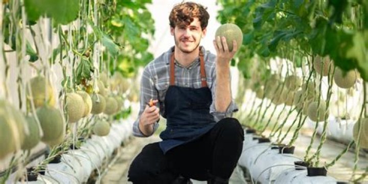 Unlocking The Secrets: Uncovering "Melonfarmerswife Of Leak"