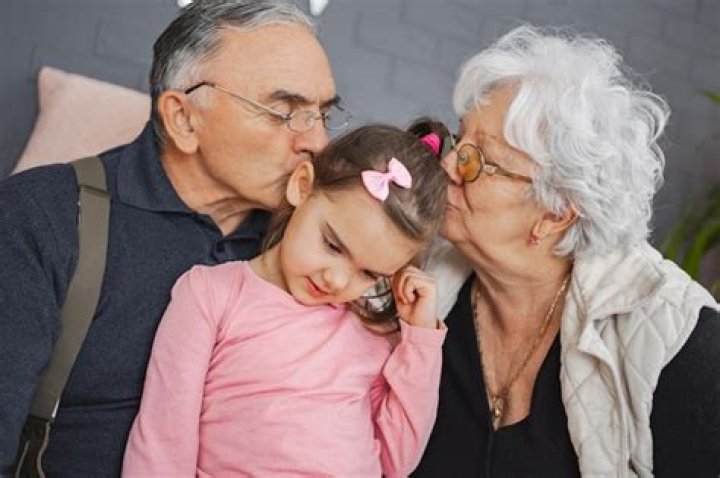 Unraveling The Unique Relationship Between Grandparents And Their Grandchild's Partner
