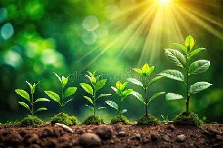 Unveiling Secrets And Inspiring Growth