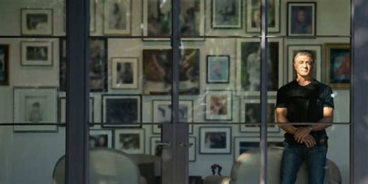 Unveiling Sly Stallone's Extraordinary Journey As A Wheelchair User