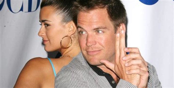 Unveiling The Enigmatic World Of Michael Weatherly's Spouse