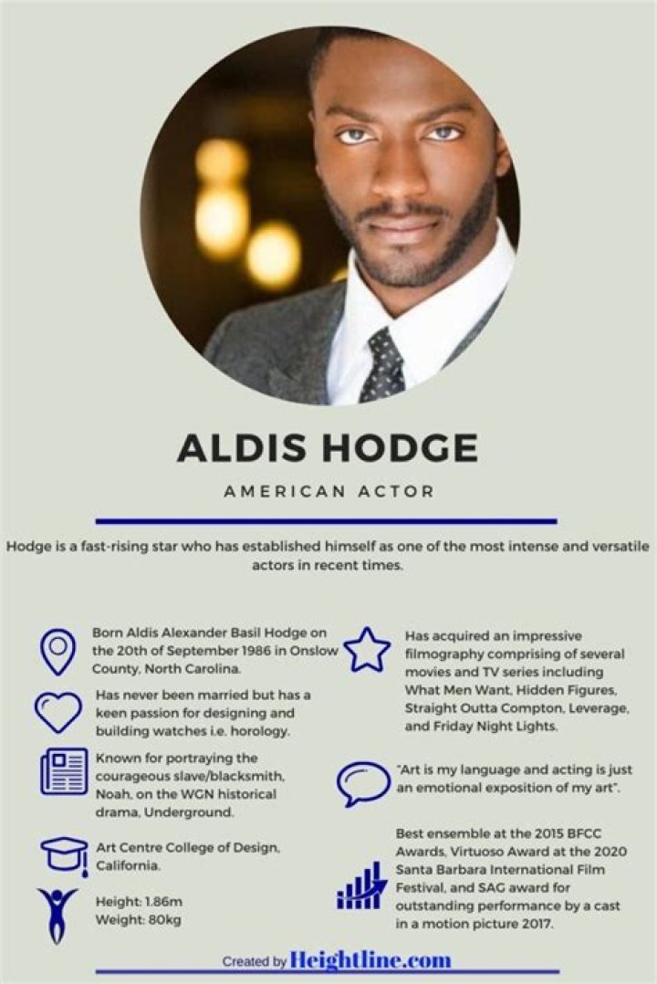 What Is Aldis Hodge S Net Worth And